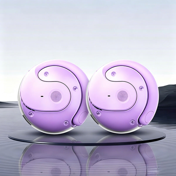 HY-T26 Pro Wireless Bluetooth Translation Earbuds