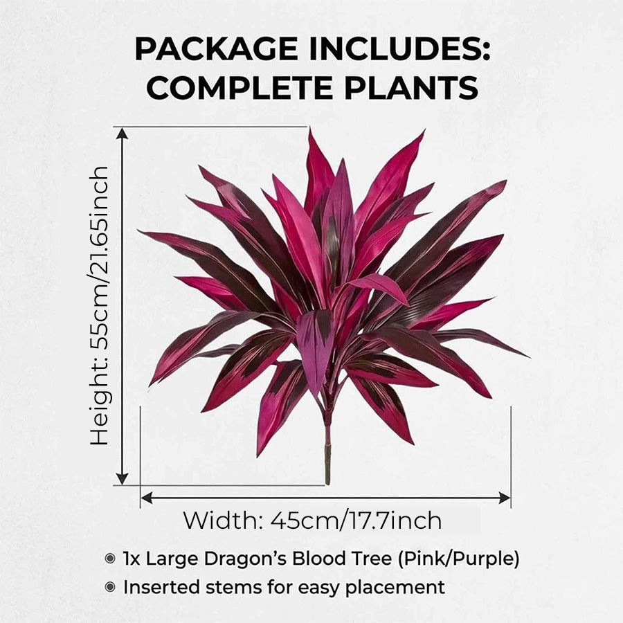 Artificial Boston Fern & Dragon's Blood Tree Plants