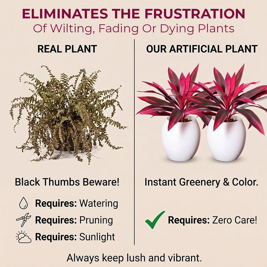 Artificial Boston Fern & Dragon's Blood Tree Plants