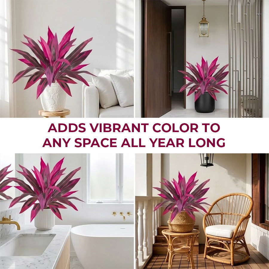 Artificial Boston Fern & Dragon's Blood Tree Plants