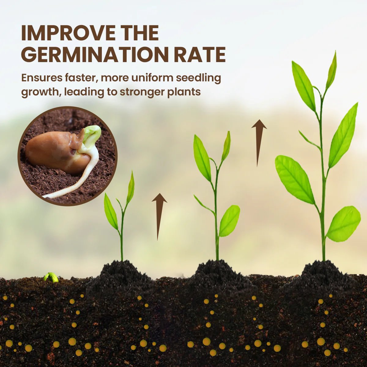 🔥Seasonal Promotion🔥-Soil Pro Activator🔥