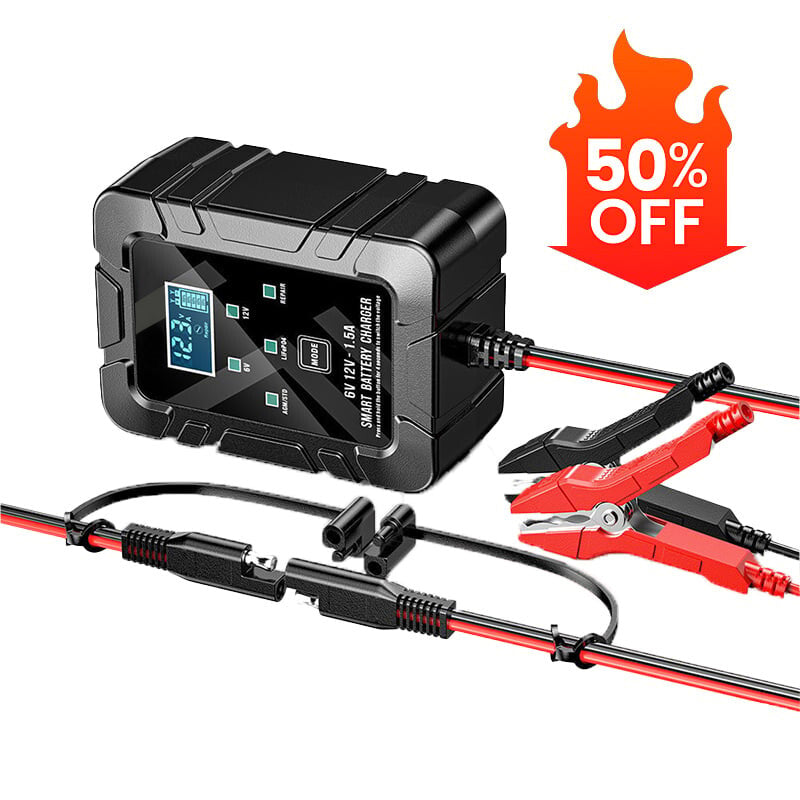 Professional 6V/12V Smart Pulse Repair Battery Charger & Desulfator