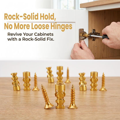 Hinge Repair Screw & Expansion Anchor