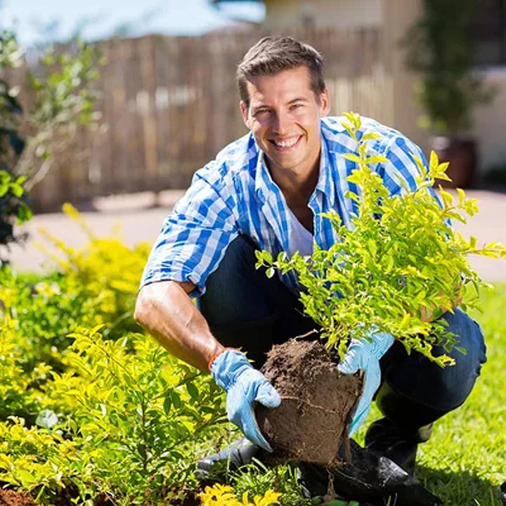 🔥Seasonal Promotion🔥-Soil Pro Activator🔥