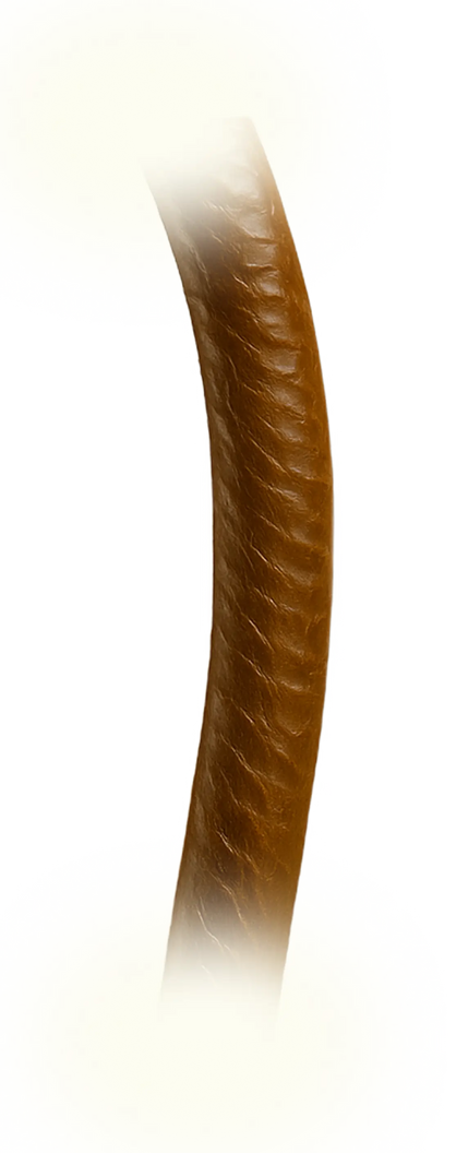 gempages_580879545922487209-37e953b8-197e-4b10-b4aa-819f8e82d33c.png