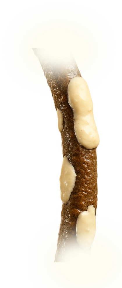gempages_580879545922487209-7f44b83b-cf43-4ab5-958d-a2a1d87dcd4f.png