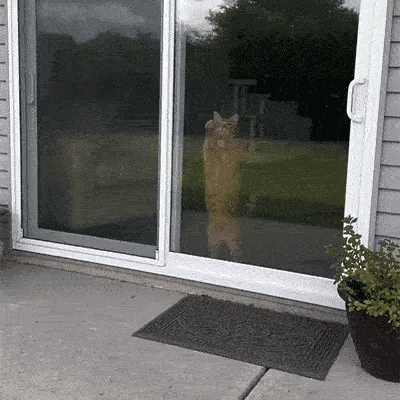 pt-image-913001b4ad1f.webp